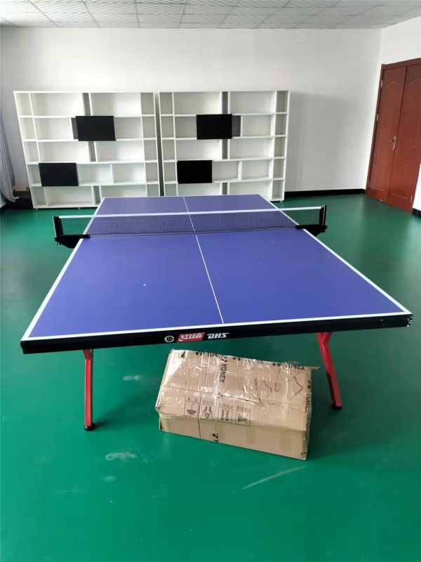 紅雙喜2828小彩虹球臺